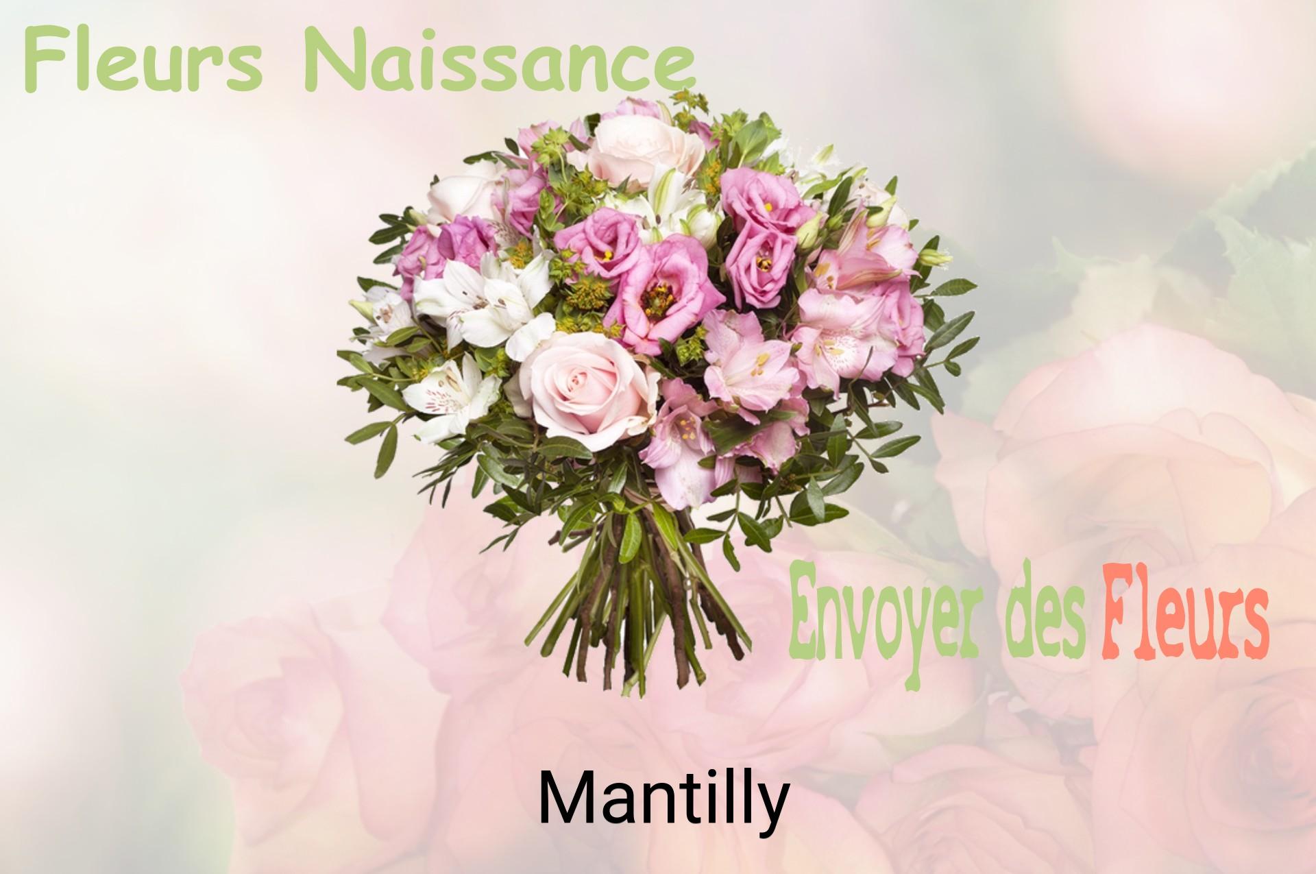 Bouquet de fleurs de naissance livré à Mantilly