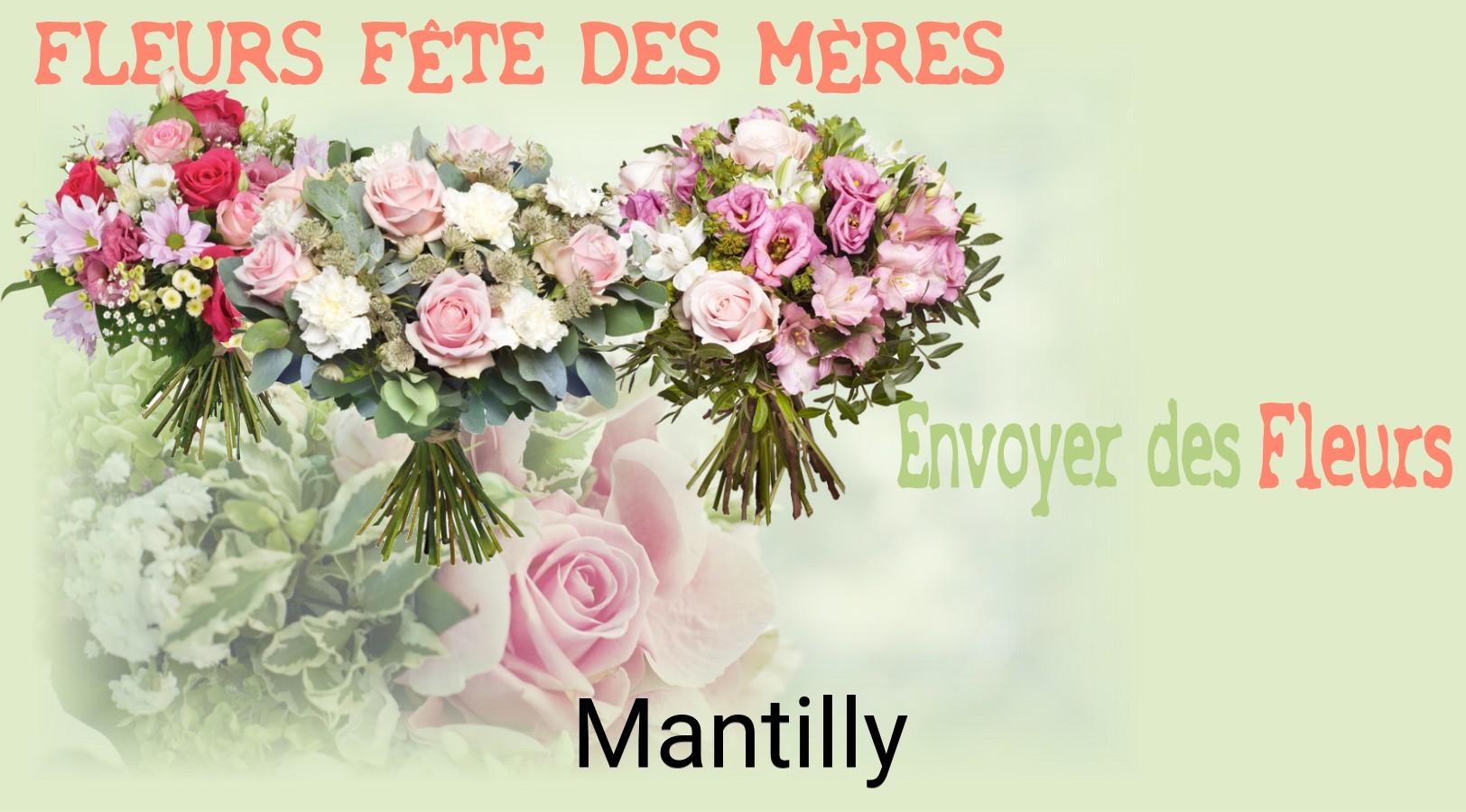 Bouquet de Fête des Mères livré à Mantilly